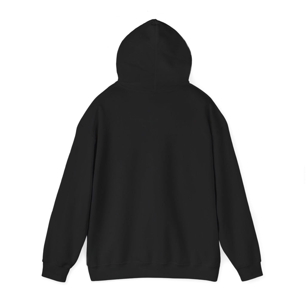 Leopard Football Pumpkin Hoodie